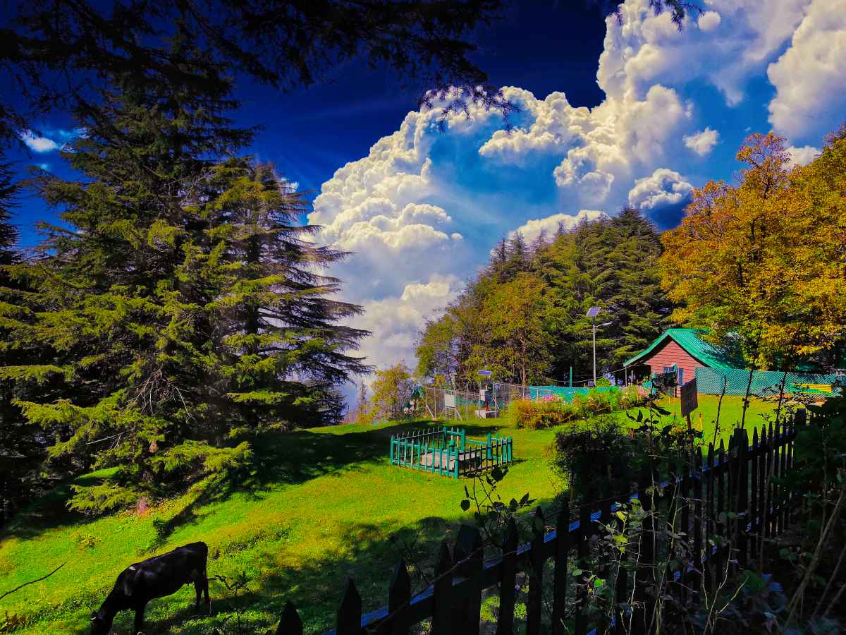 Dalhousie Travel Guide, Including Travel Experiences To Khajjiar and Kalatop