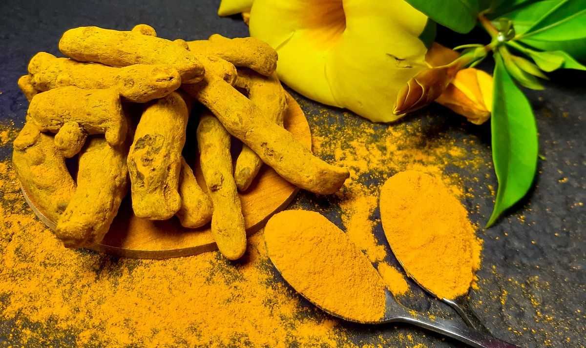 Benefits of Turmeric Powder: Unveiling the Incredible Potential for Health and Wellness