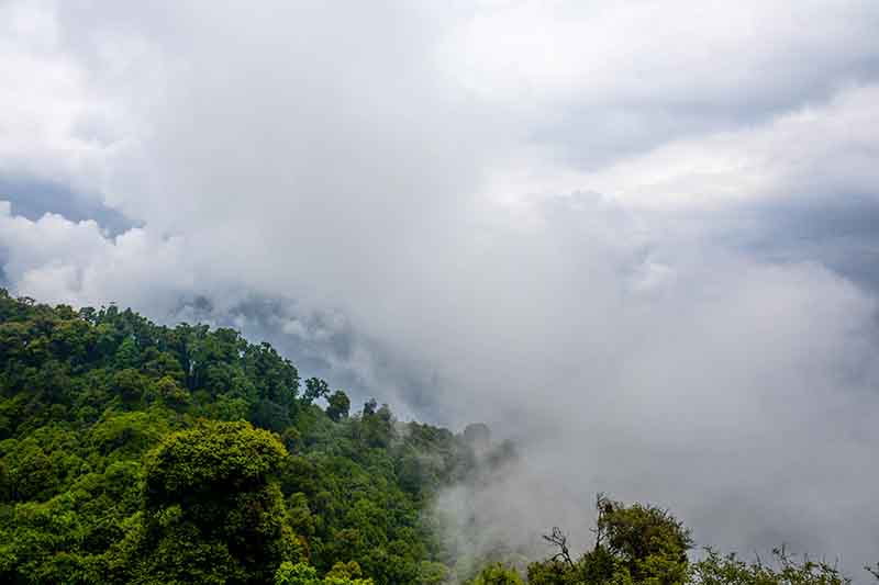 louds enveloping a wooded slope in Ravangla