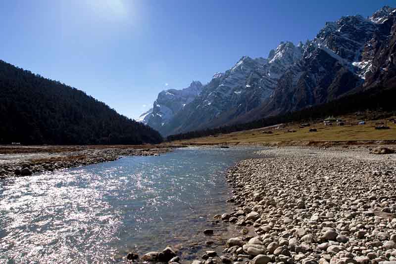 Yumthang Valley