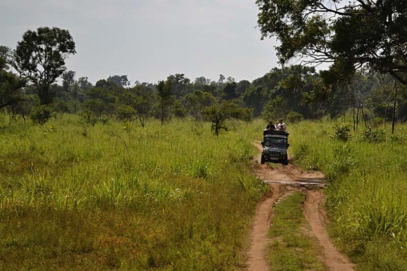 Jeep Safari in Jim Corbett