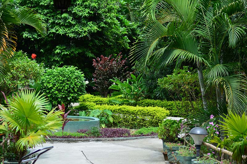 Resorts in Jim Corbett National Park are green and wonderful copy