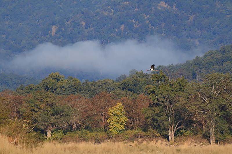 Outside view of the Jim Corbett National Park copy