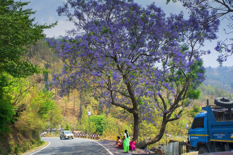 Road to Kainchi Dham Neem Karoli Baba