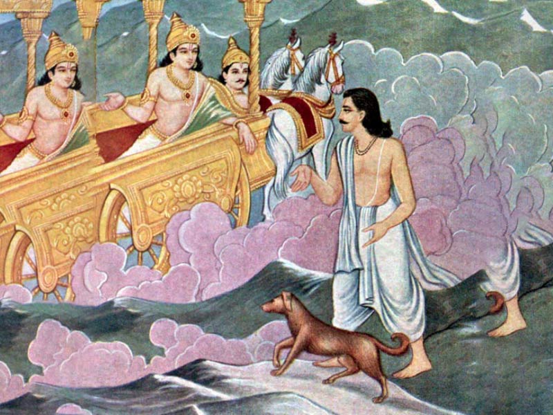 Yudhishthira Final Test