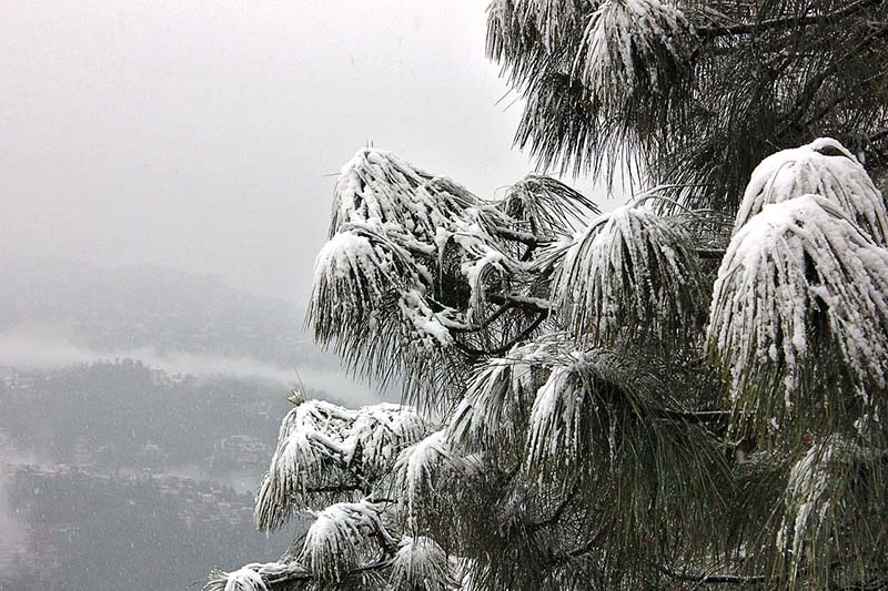 Best time to visit Shimla
