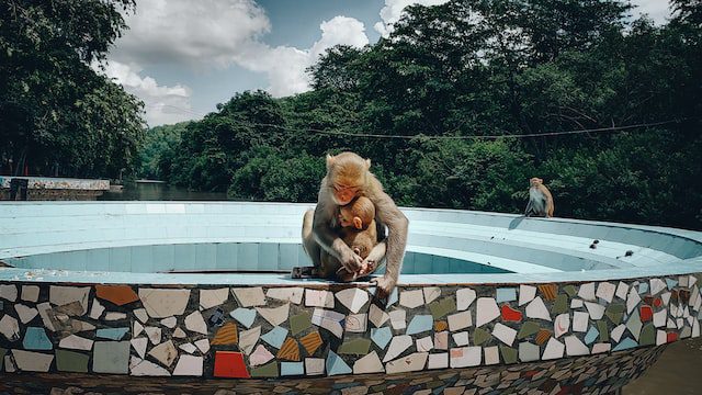 Chitrakoot, Madhya Pradesh, India