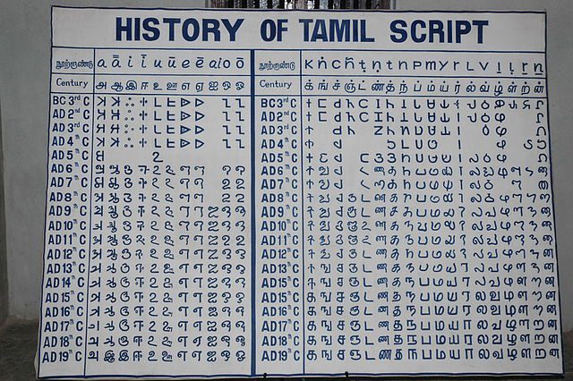 Root words of Tamil are found in languages across the world
