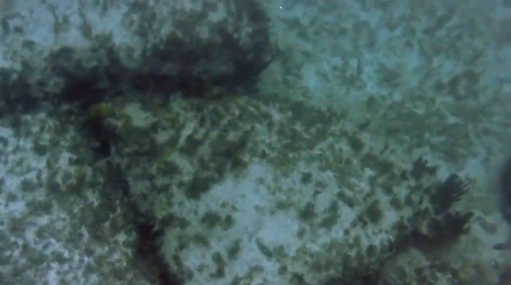 Theory the supports Ram Setu is man-made