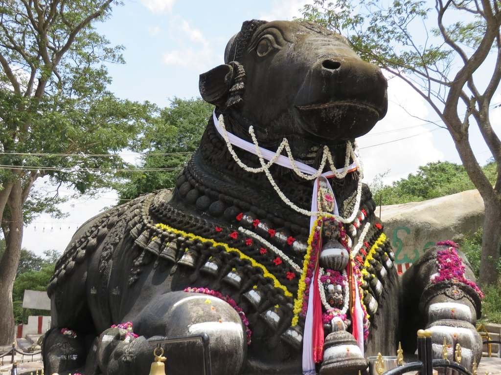 Nandi, the bull, had cursed Ravan that monkeys will become a cause of your destruction